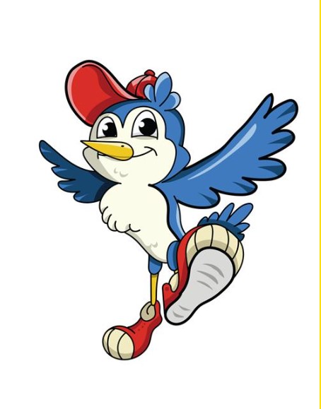  new bluejay